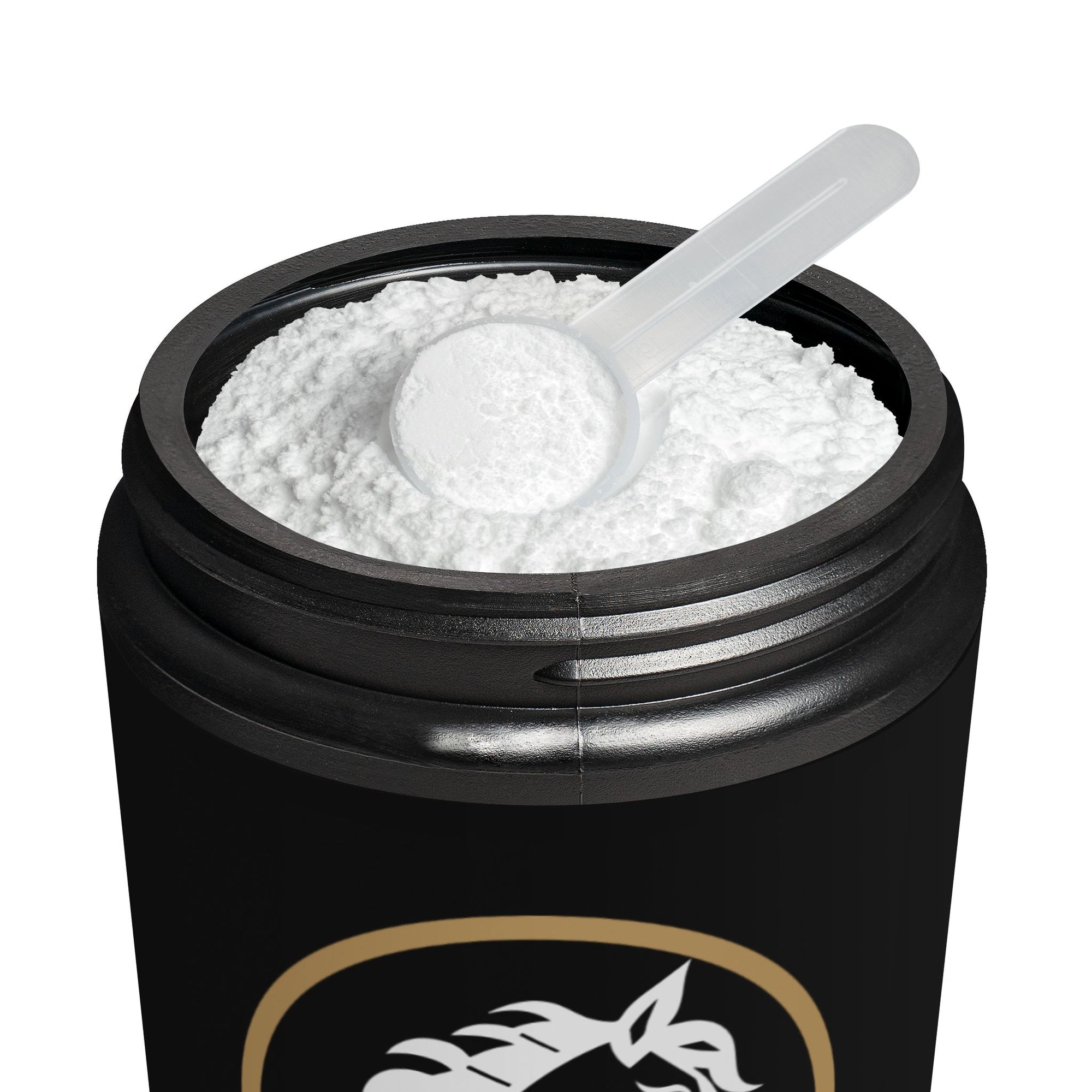 Creatine Monohydrate Supplement (300g, 10.58oz)